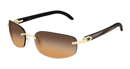 [843023140748] Cartier CT0020RS FW 000