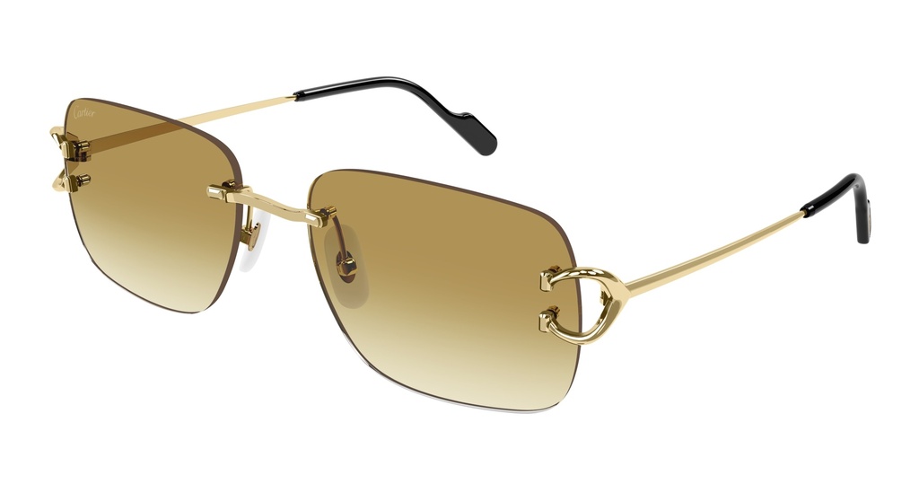 Cartier CT0330S