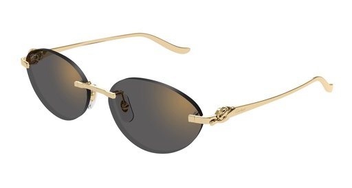 Cartier CT0504S